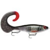 Rapala X-Rap Otus 25cm -Geschäft Für Angelbedarf 000011980014ARB0r 1
