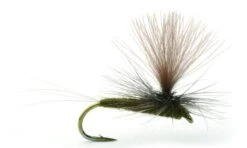 Baetis Dark Olive - 14