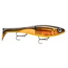 Rapala X-Rap Peto 14cm -Geschäft Für Angelbedarf 122651NOr 1