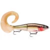 Rapala X-Rap Otus 17cm -Geschäft Für Angelbedarf 122675NOr 1