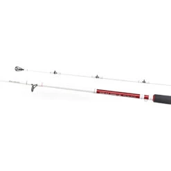 Daiwa Sealine Z Trolling 9 Daiwa Sealine Z Trolling -Geschäft Für Angelbedarf 209084r 2