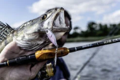 Quantum 4Street Spin-Jig 14g -Geschäft Für Angelbedarf 22 3494304r 3