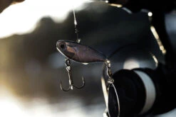 Quantum 4Street Spin-Jig 14g -Geschäft Für Angelbedarf 22 3494304r 4