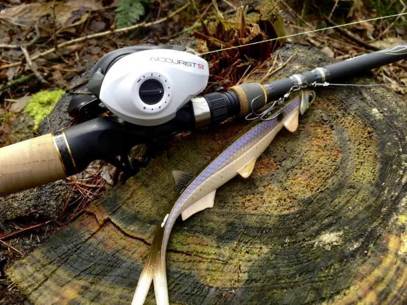 Quantum Accurist Baitcast AT101 HPT 8 Quantum Accurist Baitcast AT101 HPT – Bild 6