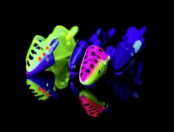 Rhino Bait Holder (3-pack) Medium -Geschäft Für Angelbedarf 4285023r 3