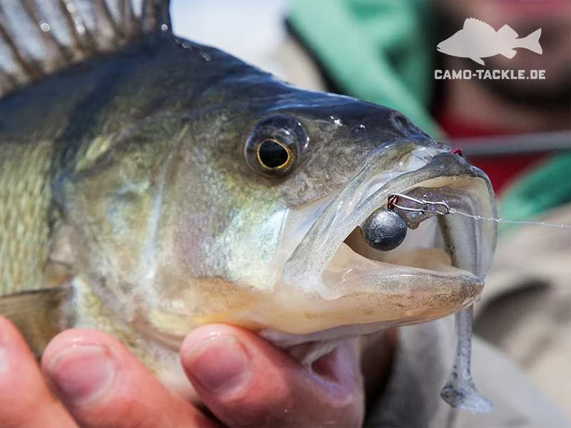 Keitech Easy Shiner 6 Keitech Easy Shiner – Bild 4