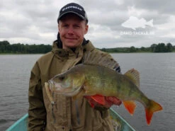 Keitech Easy Shiner 12 Keitech Easy Shiner -Geschäft Für Angelbedarf 58440BOWEr 5