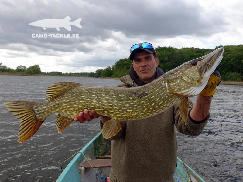 Keitech Easy Shiner 8 Keitech Easy Shiner – Bild 6