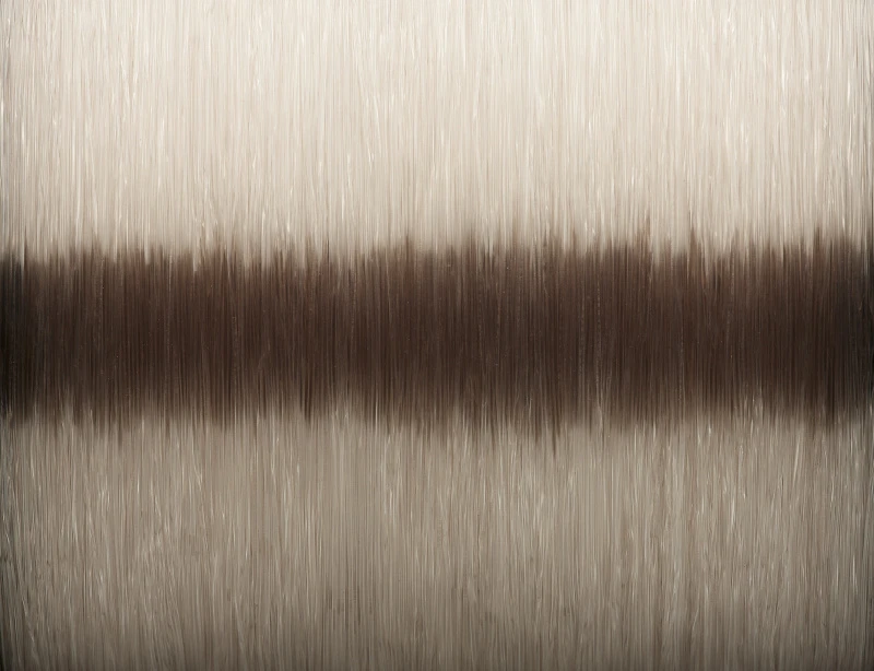 Savage Gear Silencer Mono Fade 1500m 4 Savage Gear Silencer Mono Fade 1500m – Bild 2