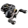 Shimano Curado BFS 1 Shimano Curado BFS -Geschäft Für Angelbedarf CUBFSXGRr 1