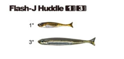 Fish Arrow Flash J Huddle -Geschäft Für Angelbedarf FA 4562178063820r 2