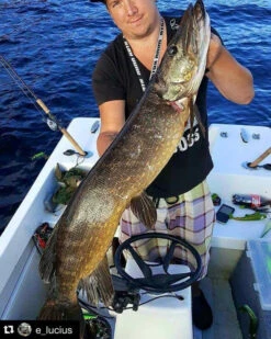 Headbanger Tail -Geschäft Für Angelbedarf Headbangertailr 5