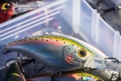 Shimano Yasei Cover Crank F -Geschäft Für Angelbedarf LUYASCCFSR07RBTr 6