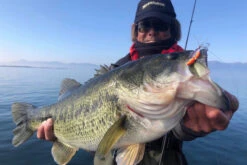 Megabass Dyna Response 14g -Geschäft Für Angelbedarf MB DR 4513473478703r 3