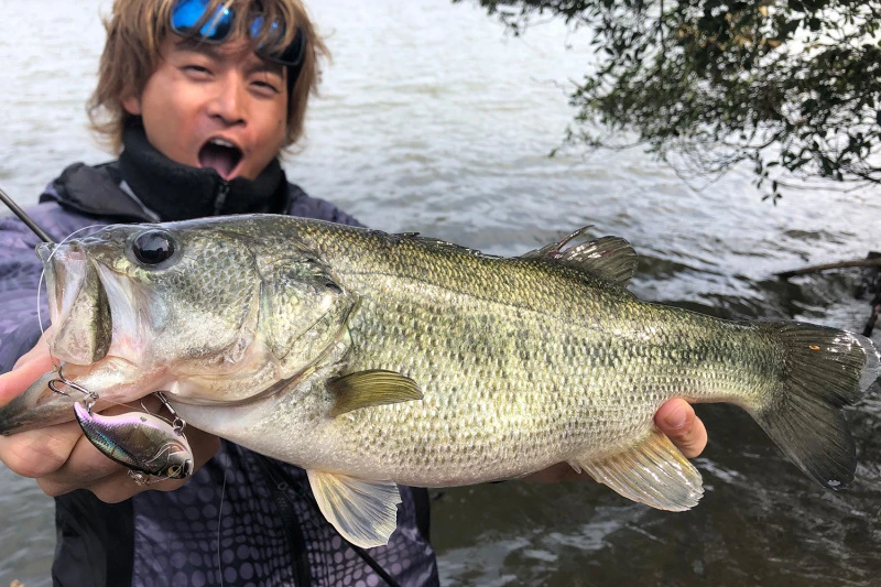 Megabass Vibration-X Dyna (Rattle In) 4 Megabass Vibration-X Dyna (Rattle In) – Bild 2