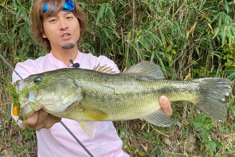 Megabass Vibration-X Dyna (Rattle In) 5 Megabass Vibration-X Dyna (Rattle In) – Bild 3