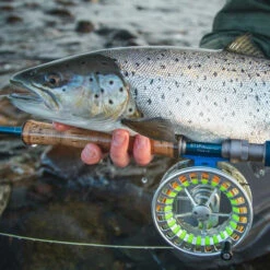 Vision Stifu Flyrod -Geschäft Für Angelbedarf VFU4967r 3